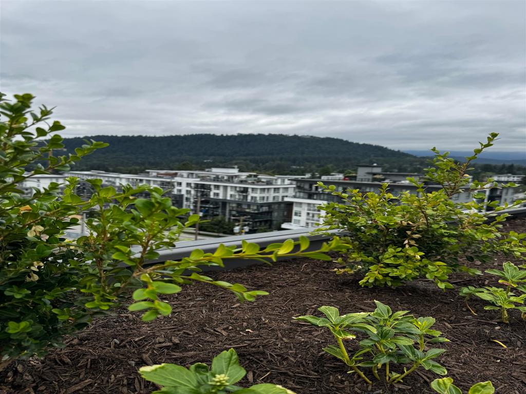 Listing Image for R3085115