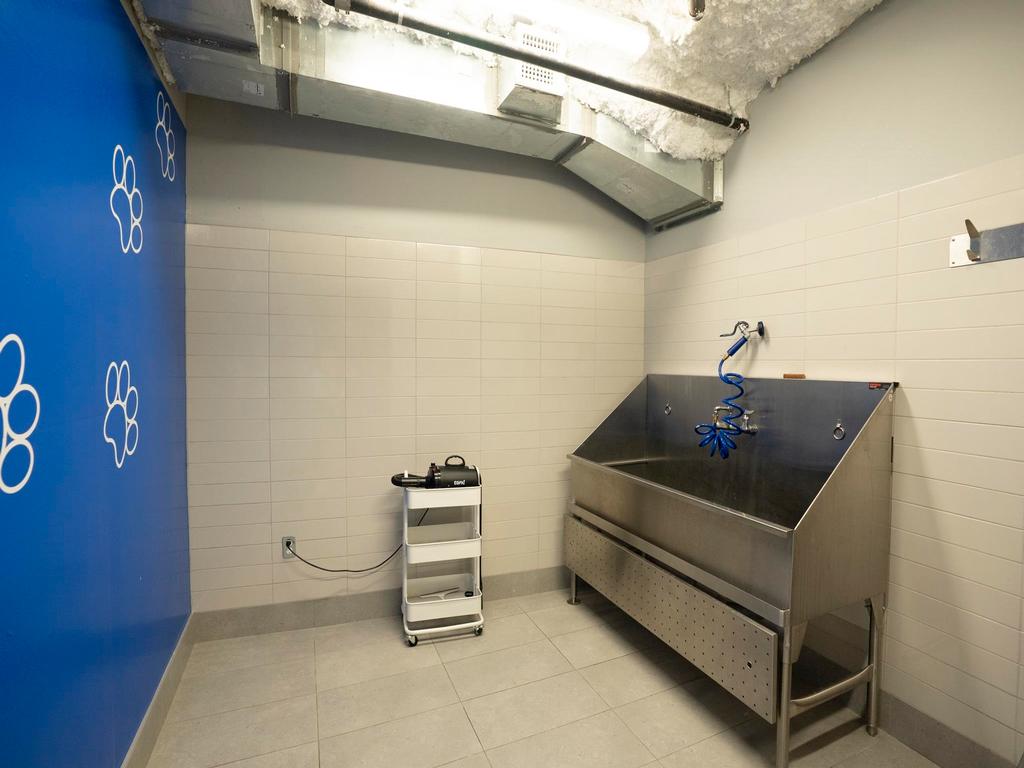 Listing Image for R3085138