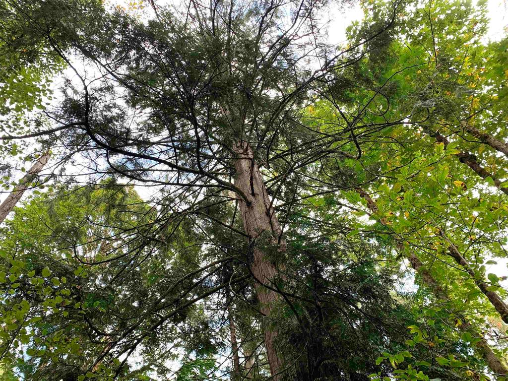 Listing Image for R3085145