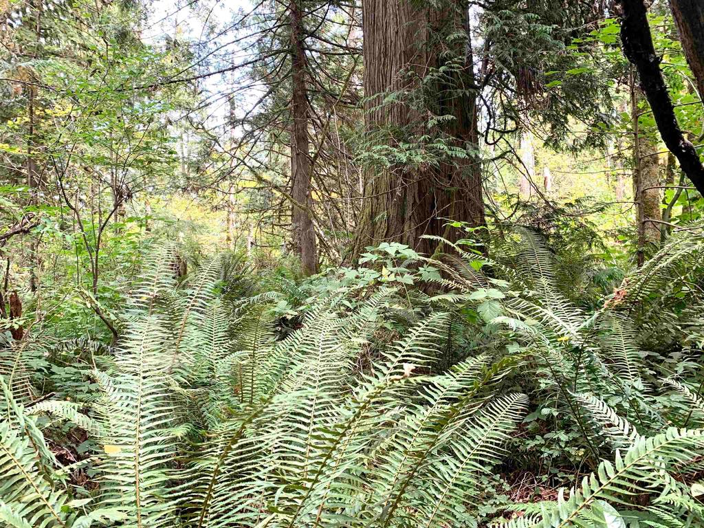 Listing Image for R3085145