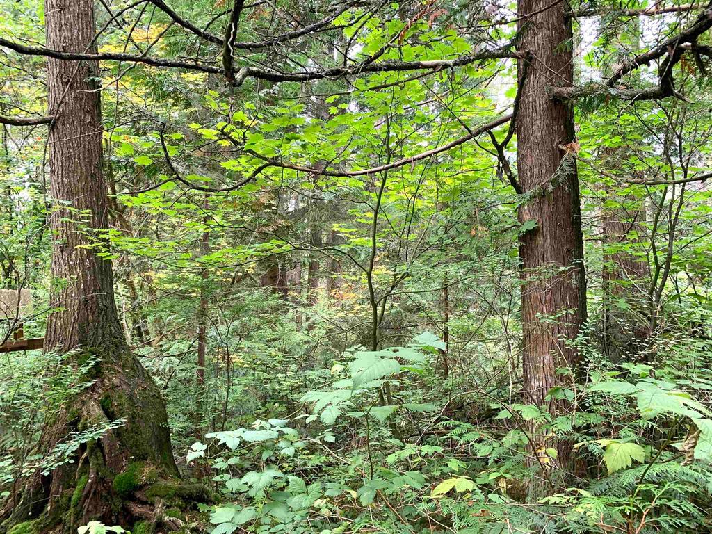 Listing Image for R3085145