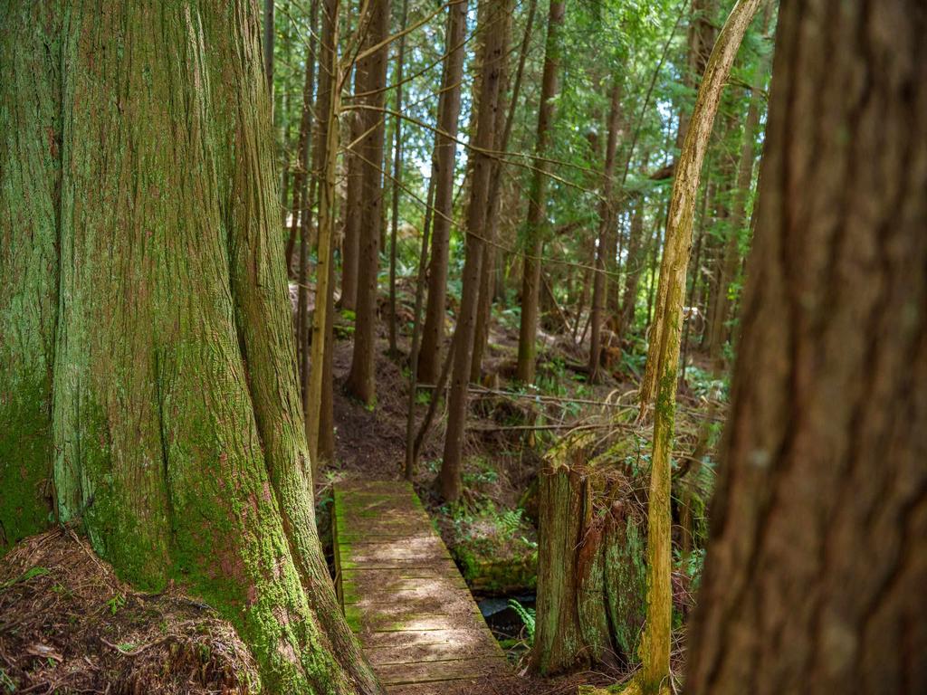 Listing Image for R3085171