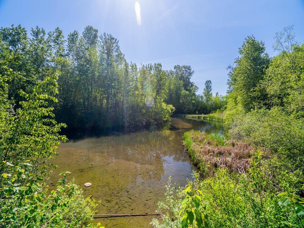 Listing Image for R3085242