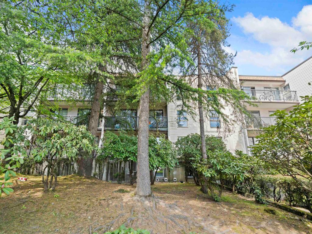 Listing Image for R3085366