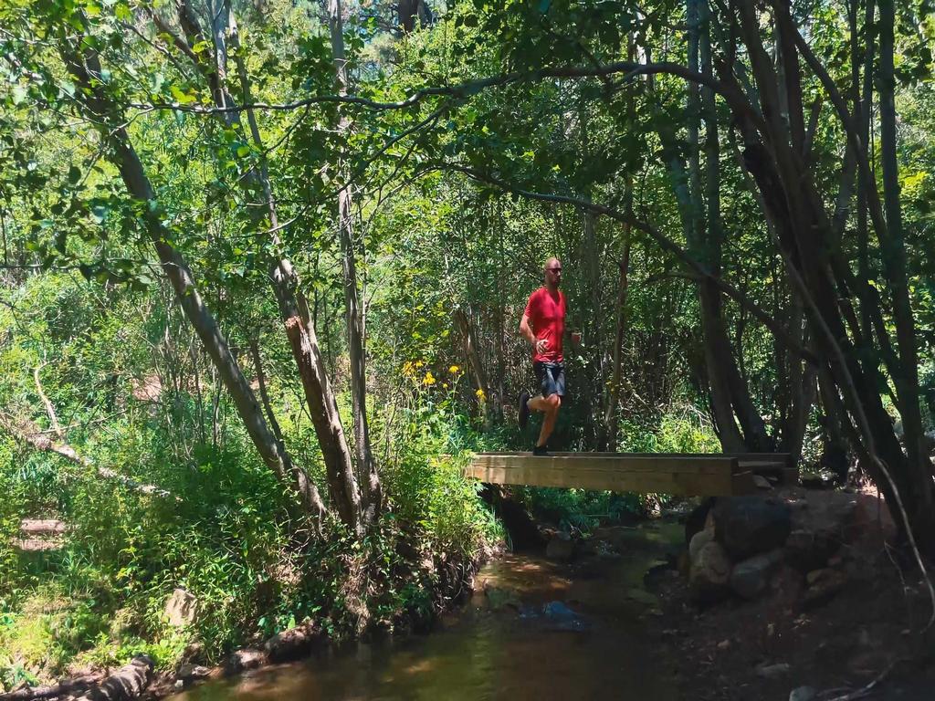 Listing Image for R3085530