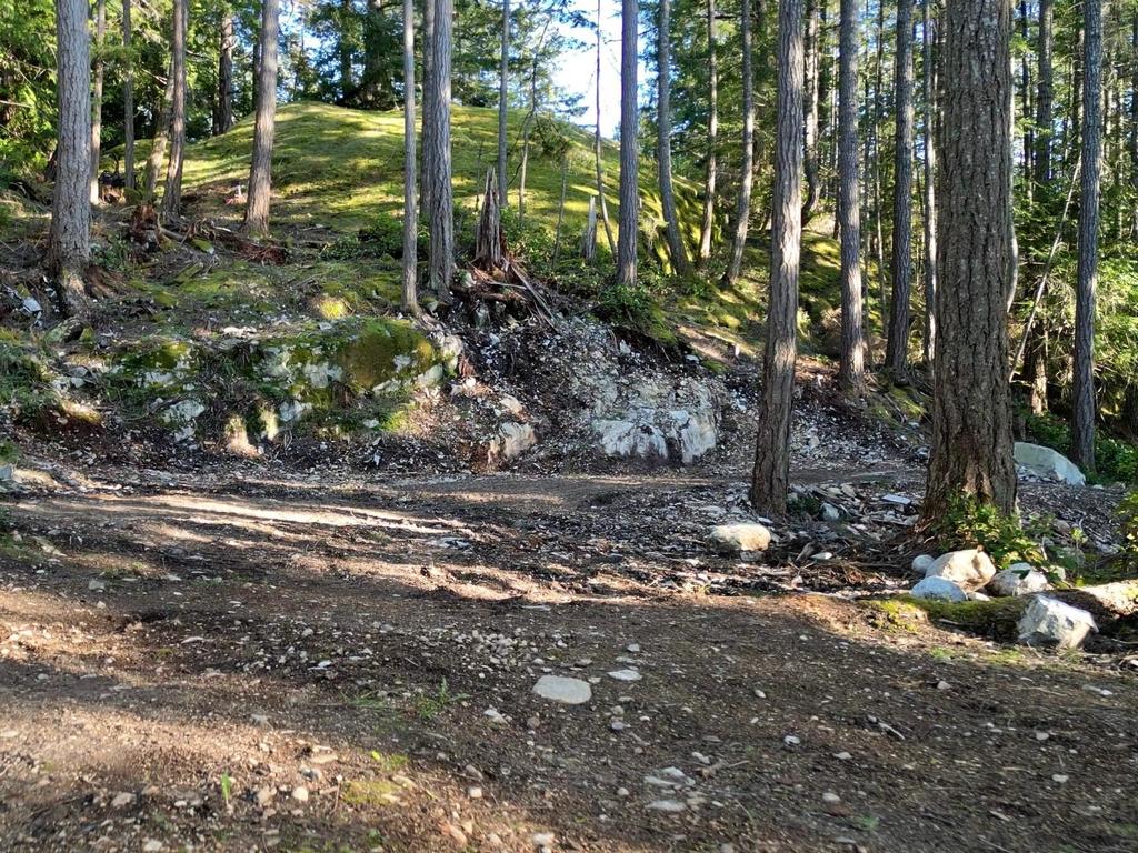 Listing Image for R3085600