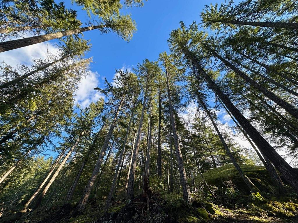 Listing Image for R3085600