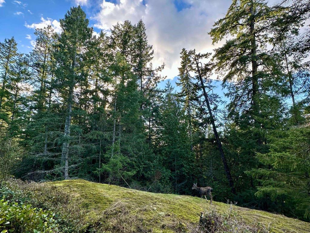 Listing Image for R3085600