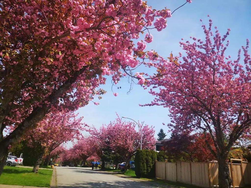 Listing Image for R3085854