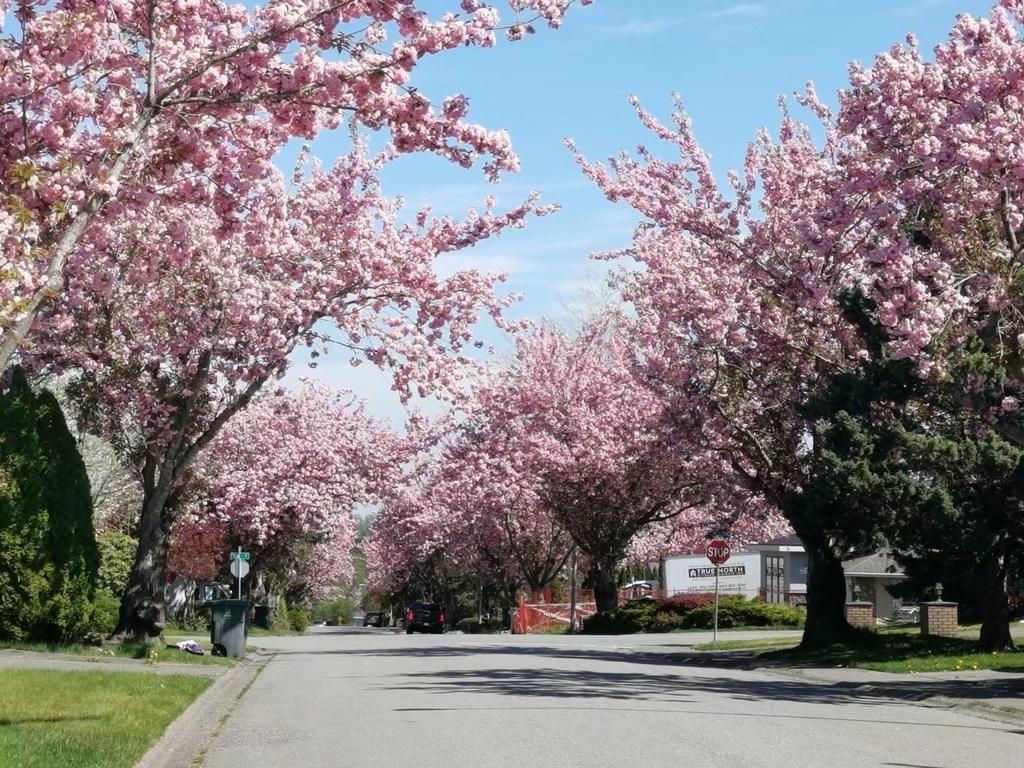 Listing Image for R3085854