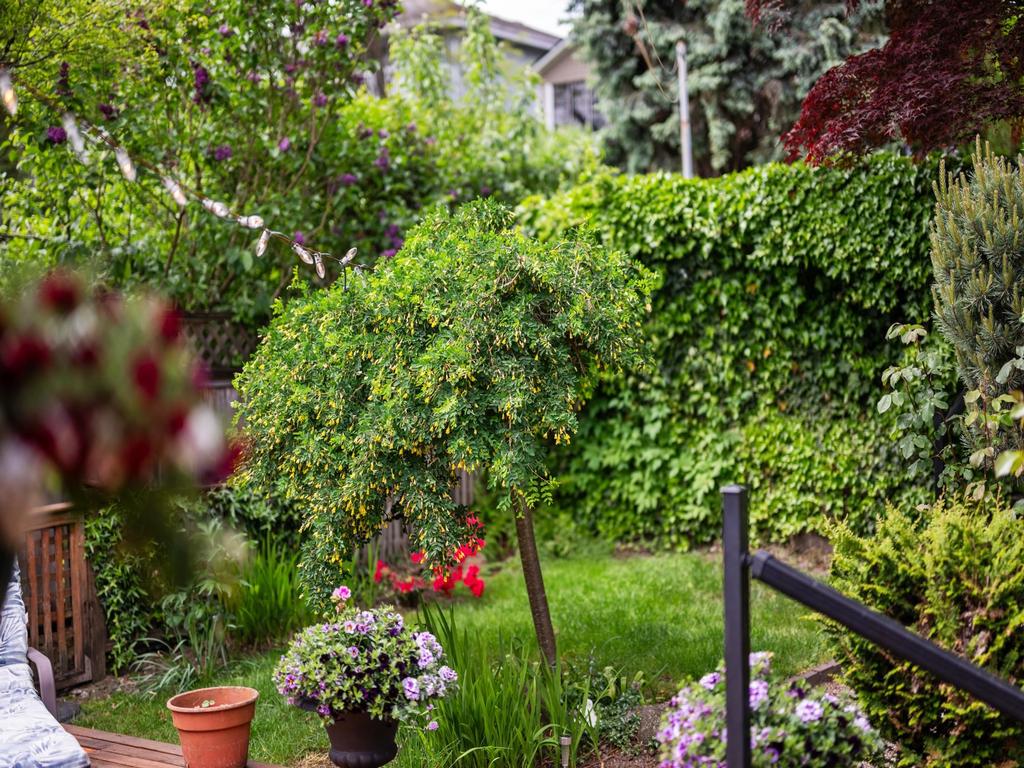 Listing Image for R3086195