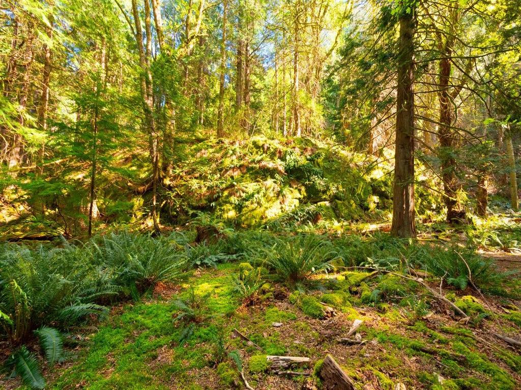 Listing Image for R3086248