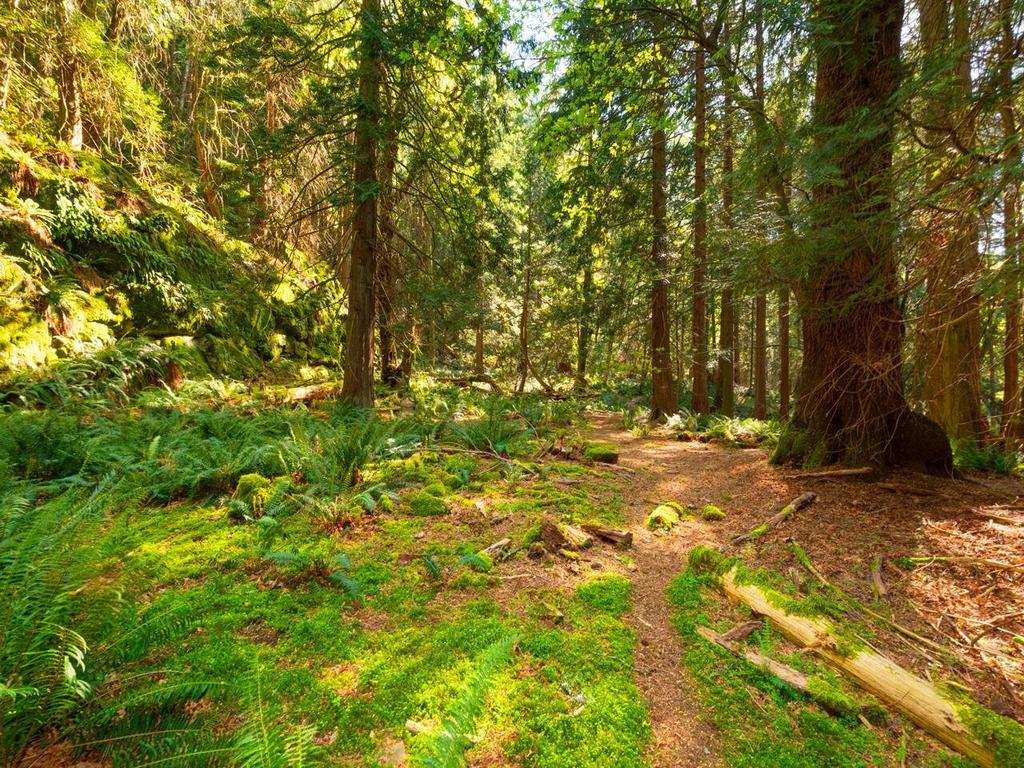 Listing Image for R3086248