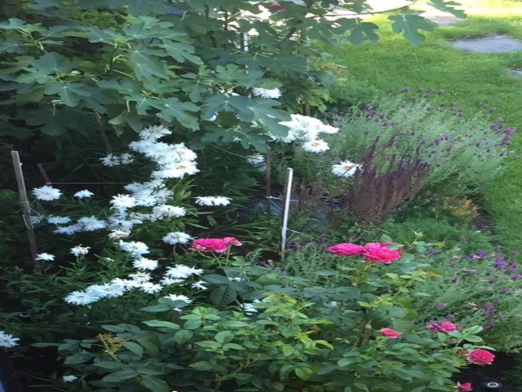 Listing Image for R3086337