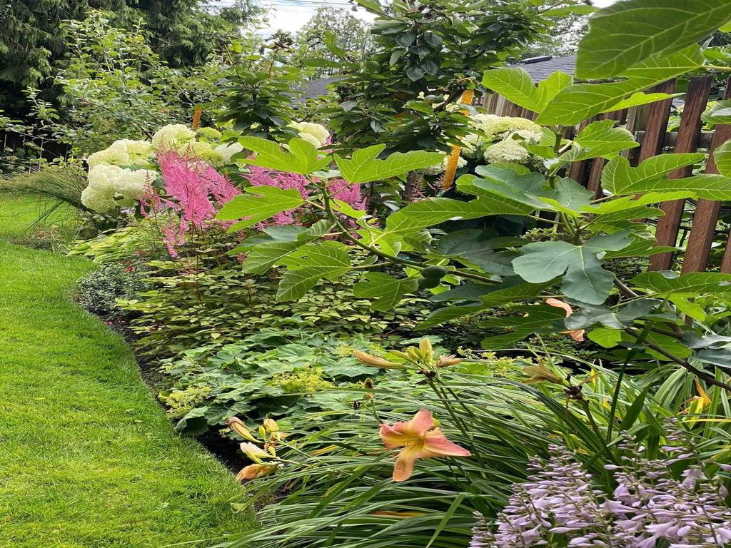 Listing Image for R3086337