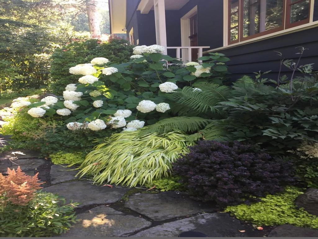 Listing Image for R3086337