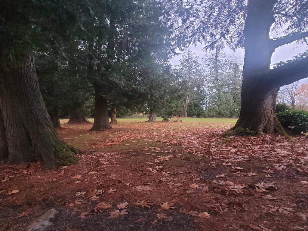 Listing Image for R3086393