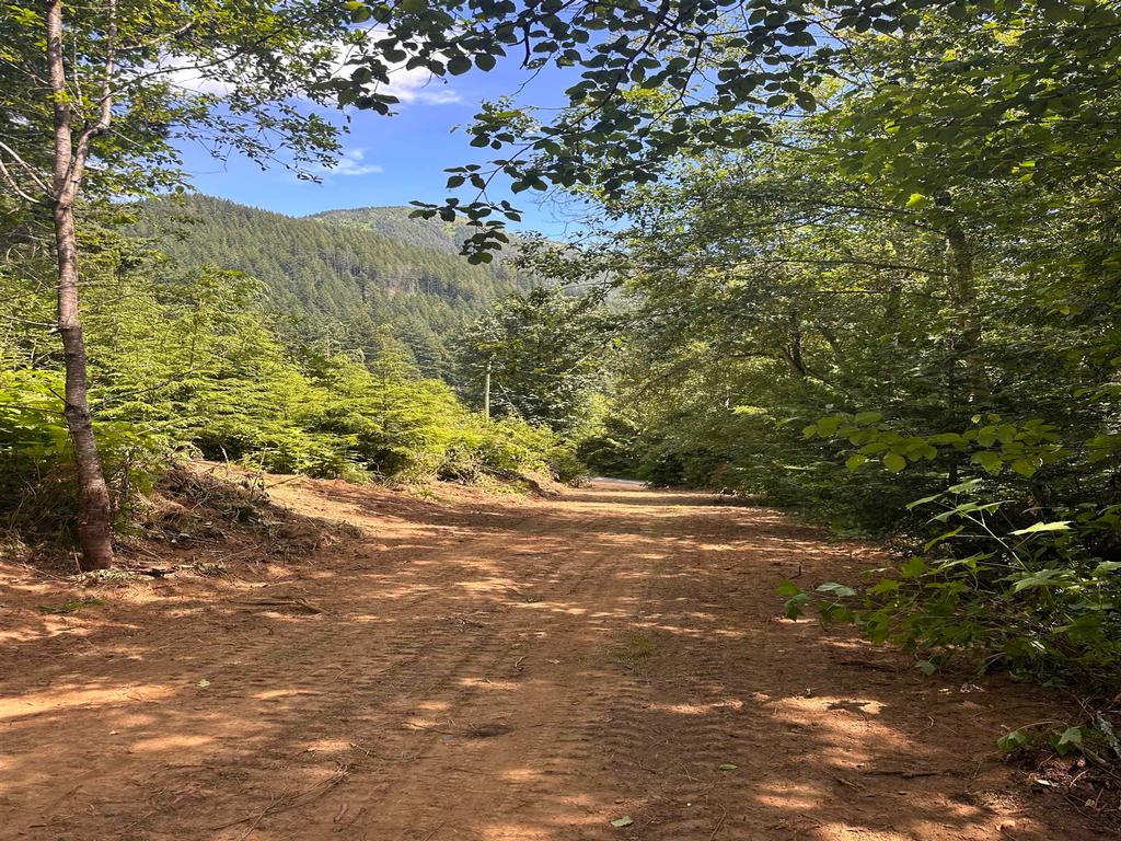 Listing Image for R3086529