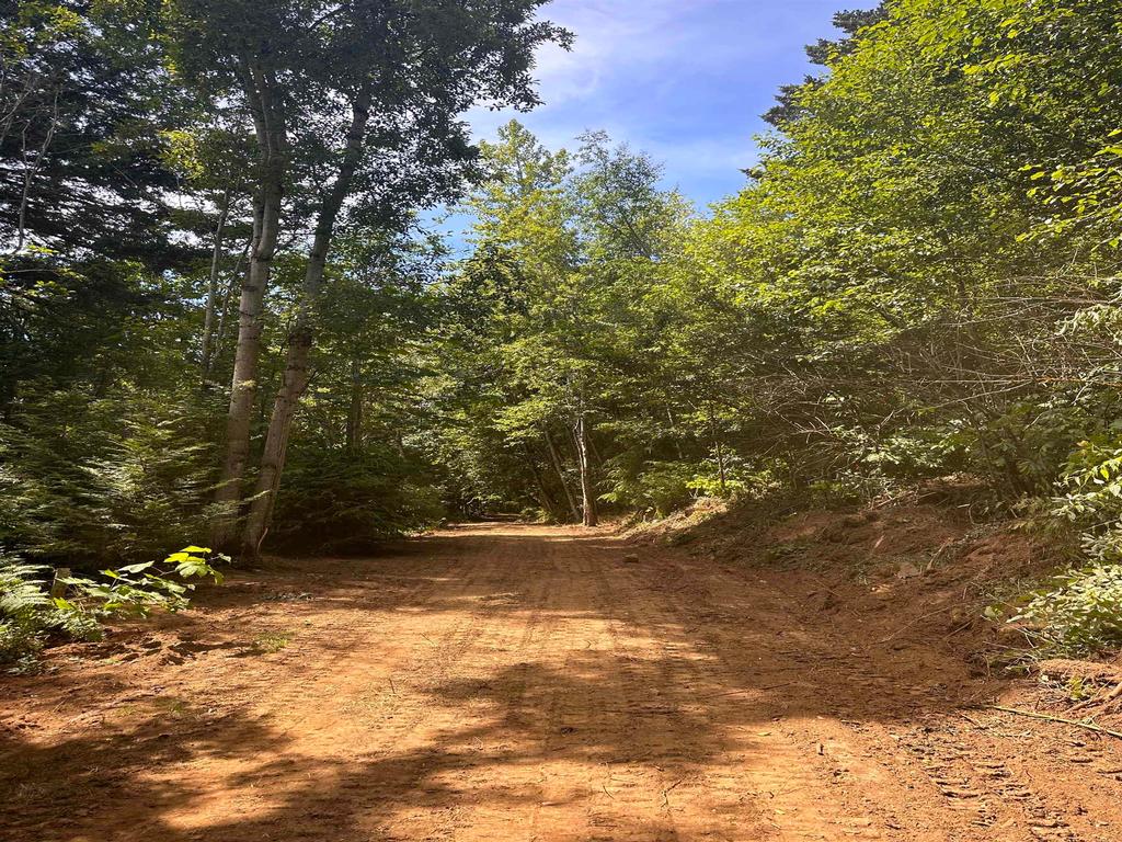 Listing Image for R3086529