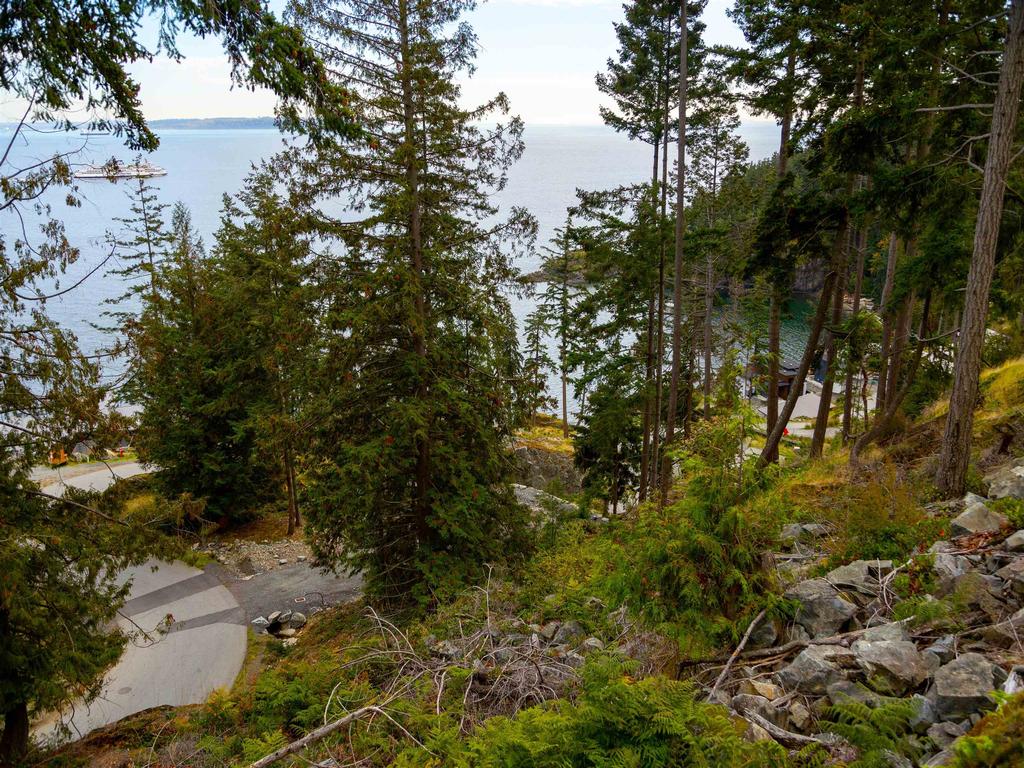 Listing Image for R3086750