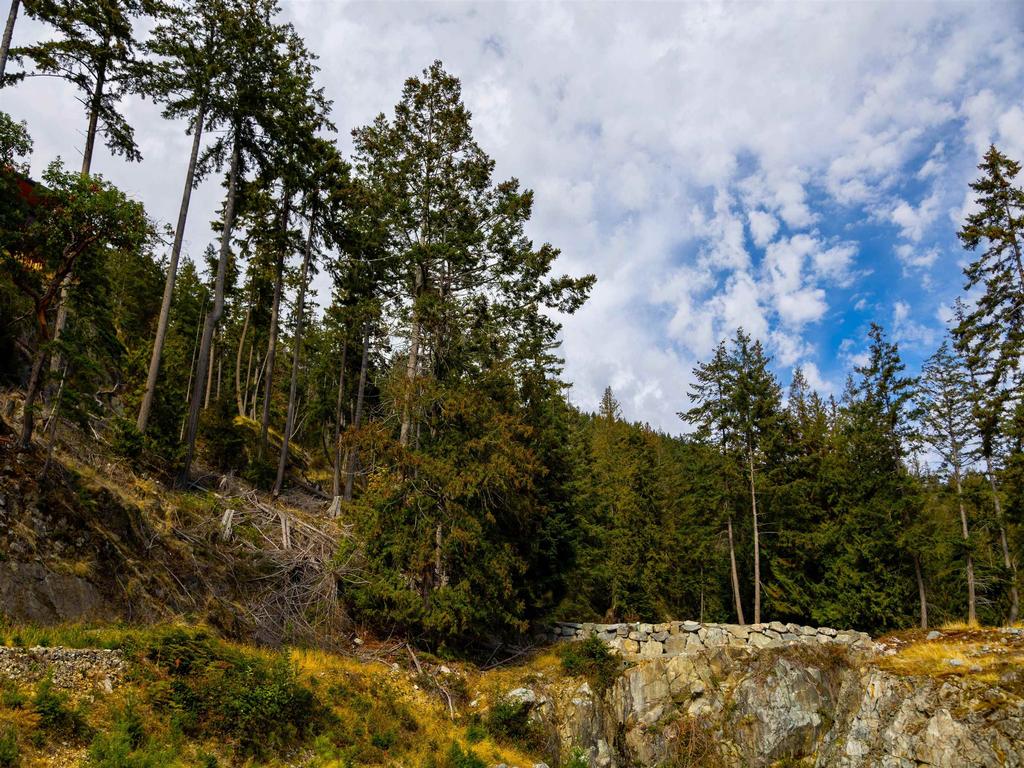 Listing Image for R3086750