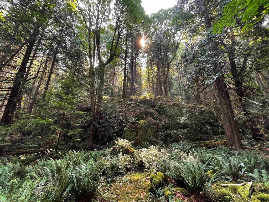 Listing Image for R3087083