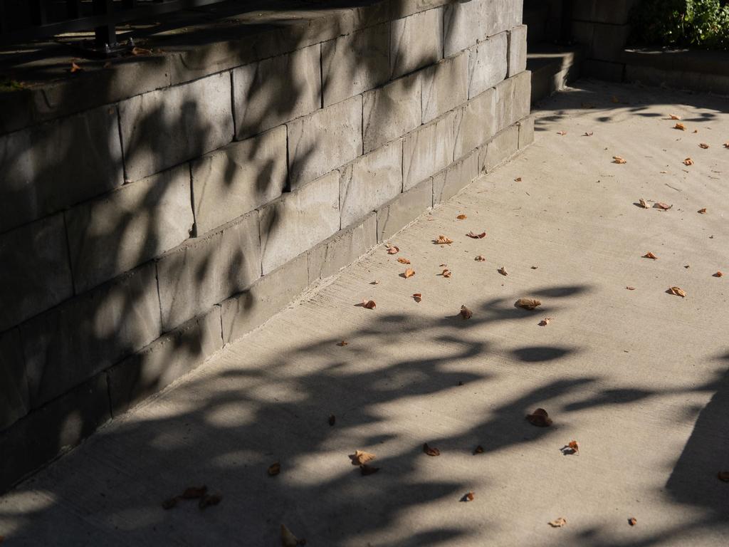 Listing Image for R3087131