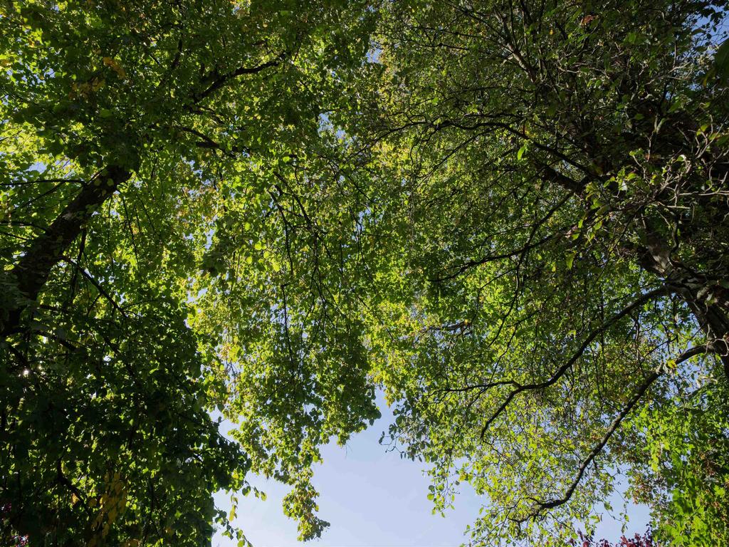 Listing Image for R3087131