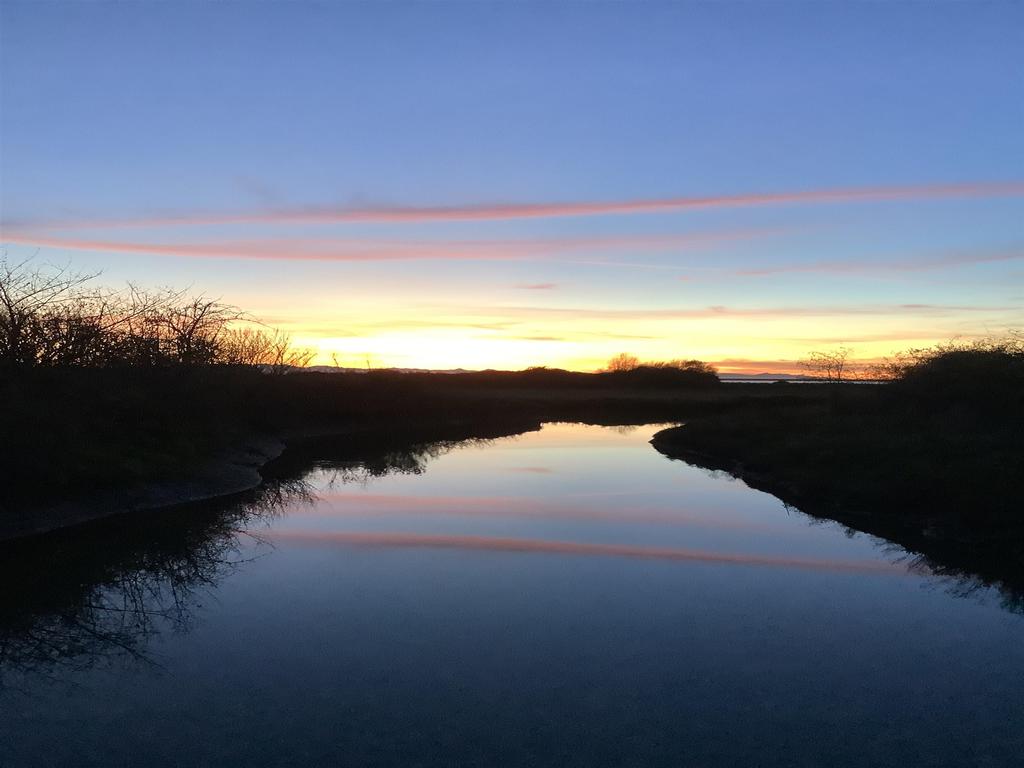 Listing Image for R3088103
