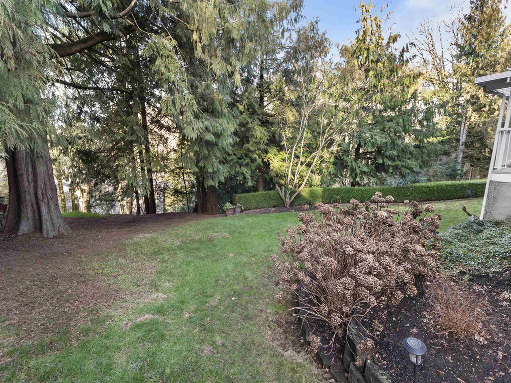 Listing Image for R3088115