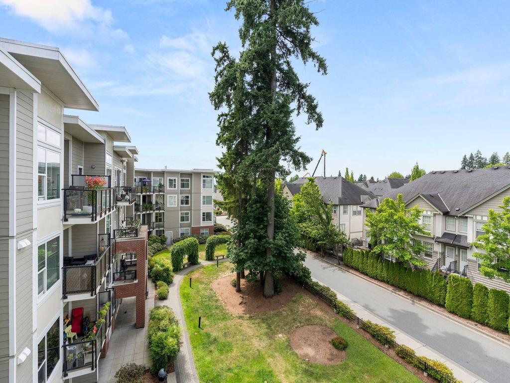 Listing Image for R3088185