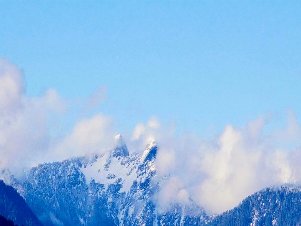 Listing Image for R3088278