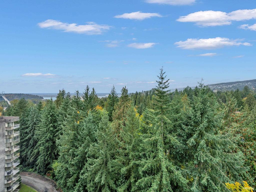 Listing Image for R3089003