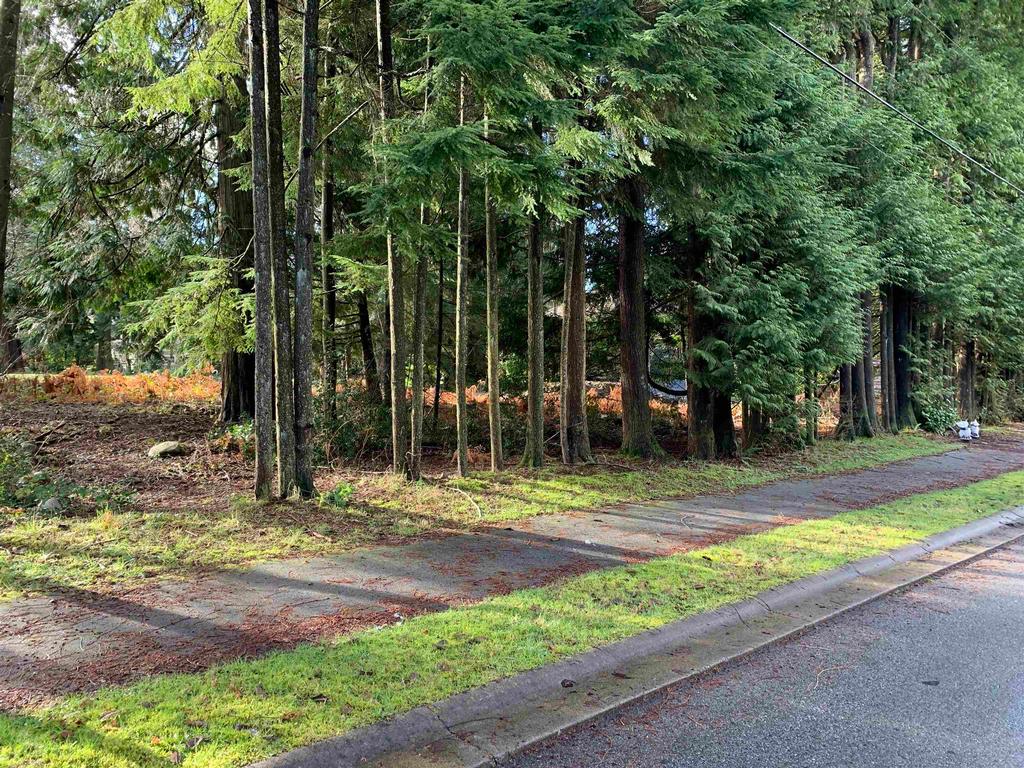 Listing Image for R3089128