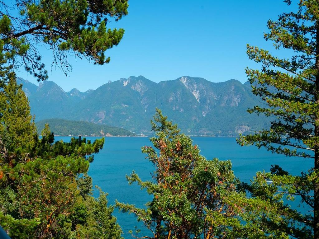 Listing Image for R3089381