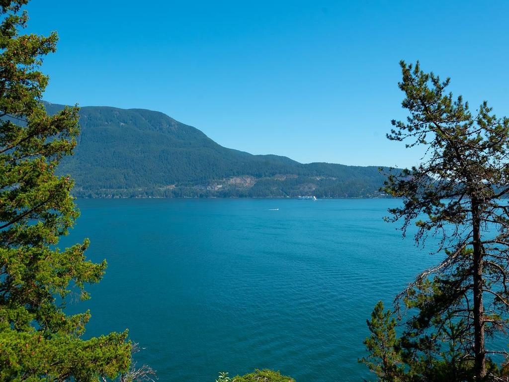 Listing Image for R3089381