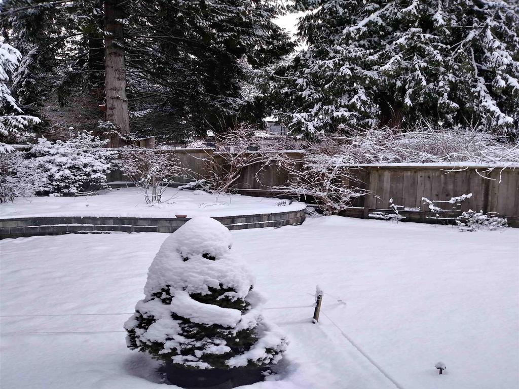 Listing Image for R3089584