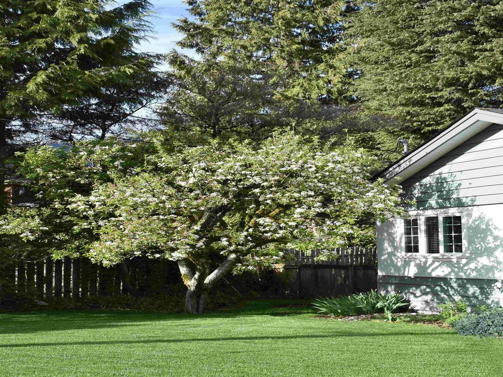 Listing Image for R3089584