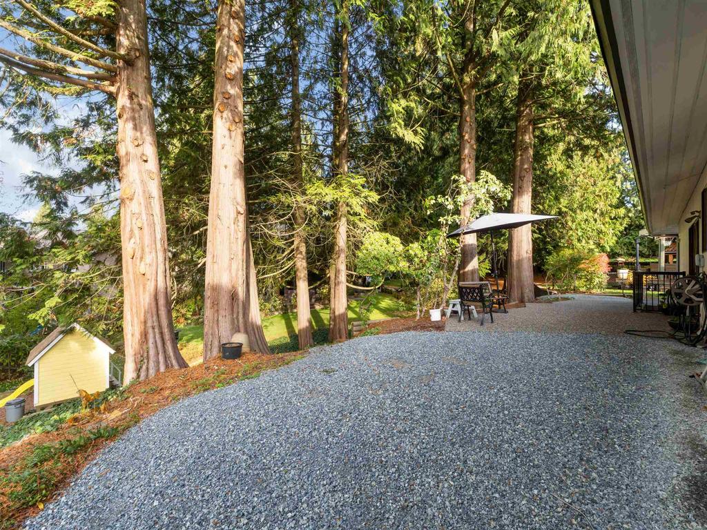 Listing Image for R3089613