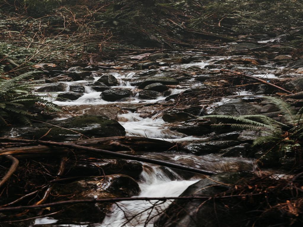 Listing Image for R3089985