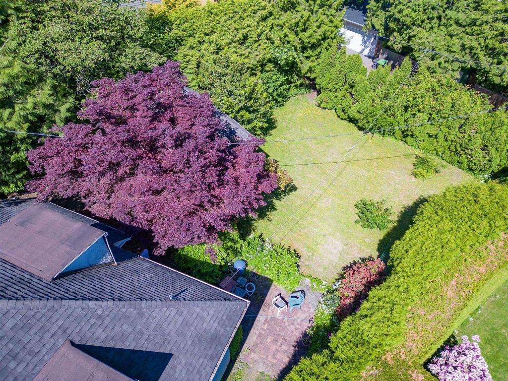 Listing Image for R3090450