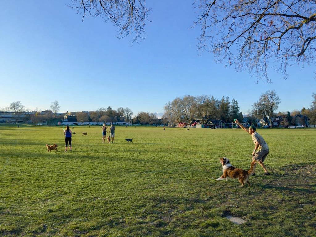 Listing Image for R3090543