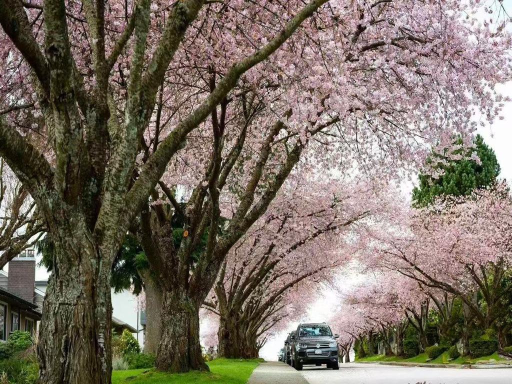 Listing Image for R3090878