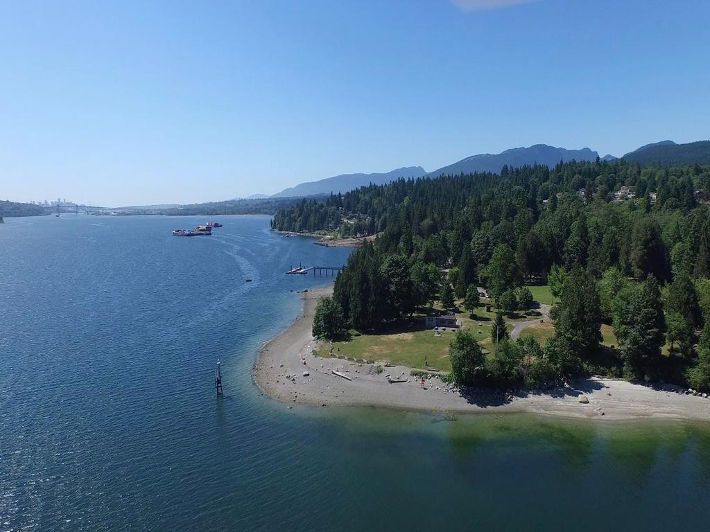 Listing Image for R3091540