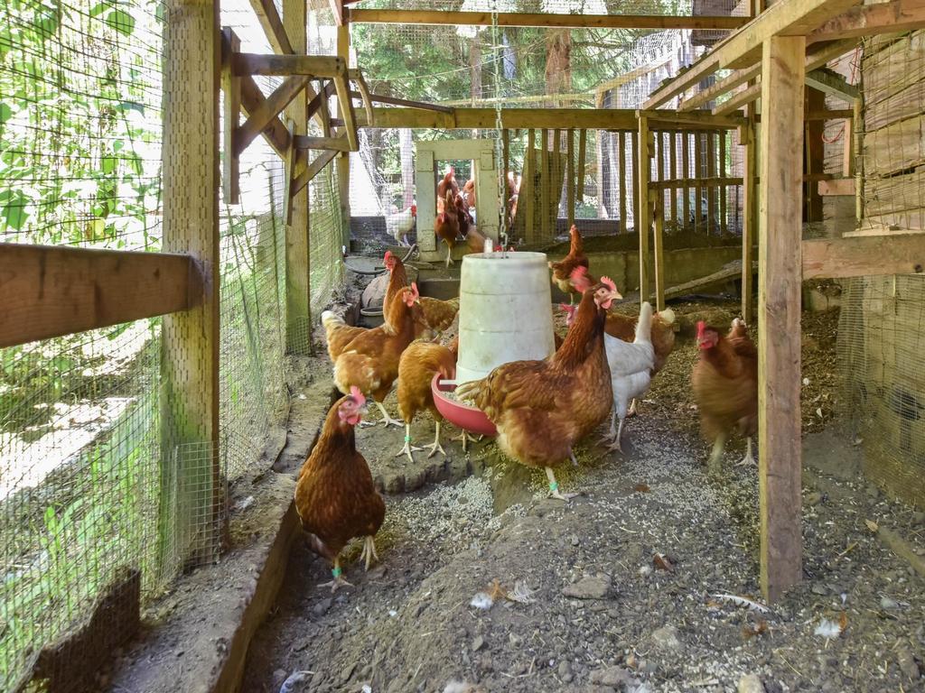 Listing Image for R3091695