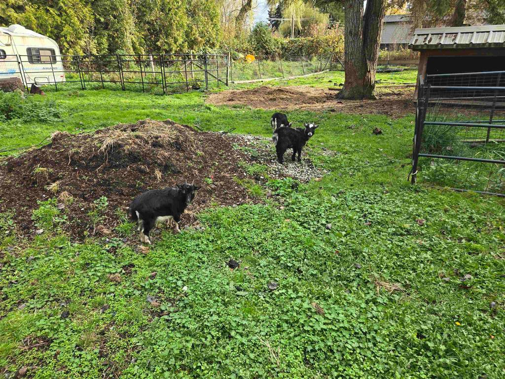 Listing Image for R3091946