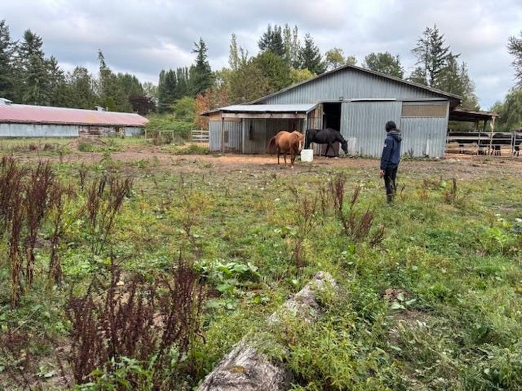 Listing Image for R3091946