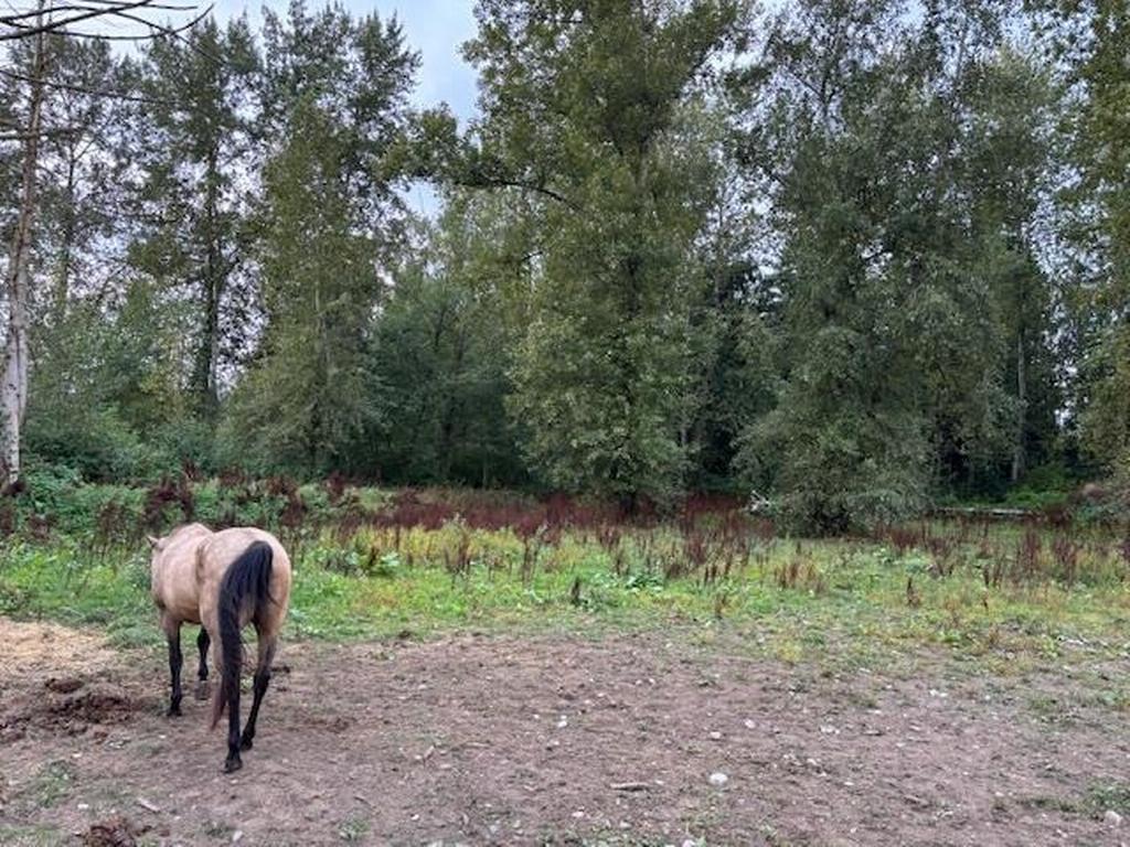 Listing Image for R3091946