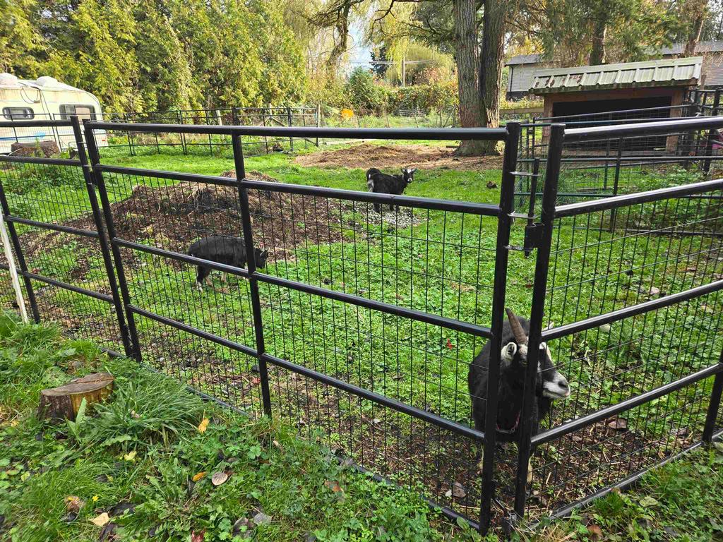 Listing Image for R3091946