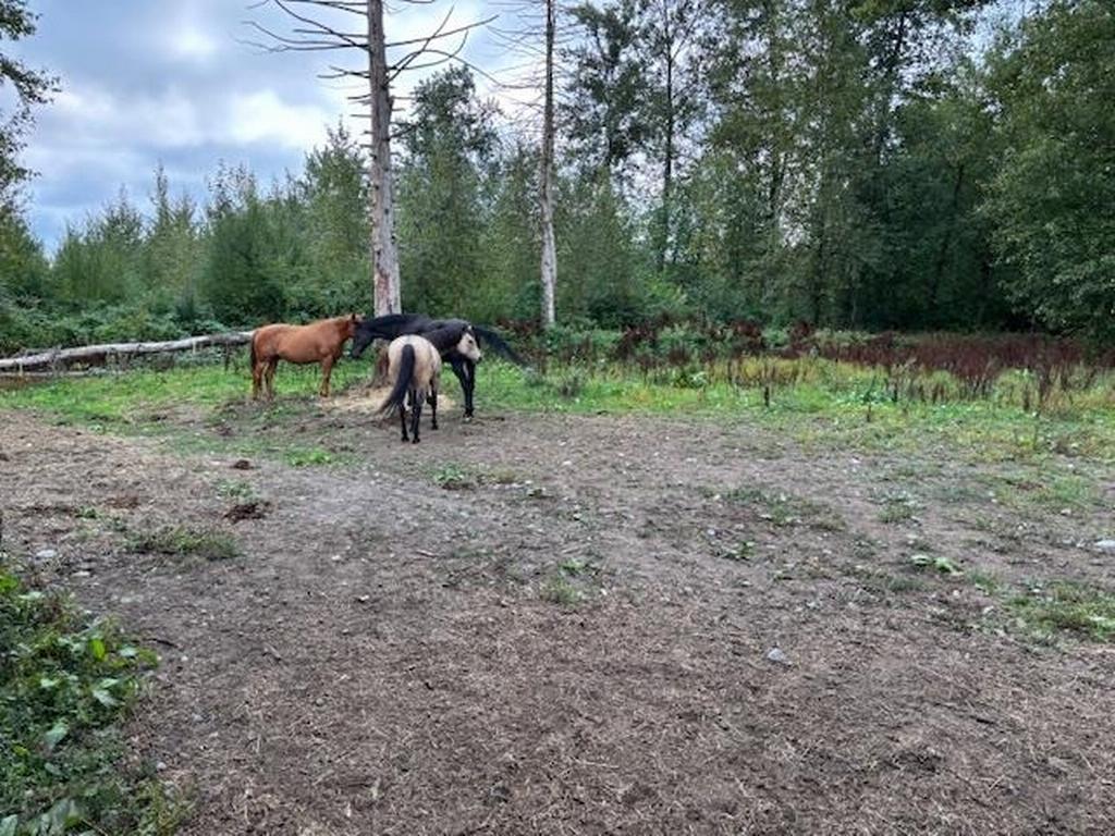 Listing Image for R3091946